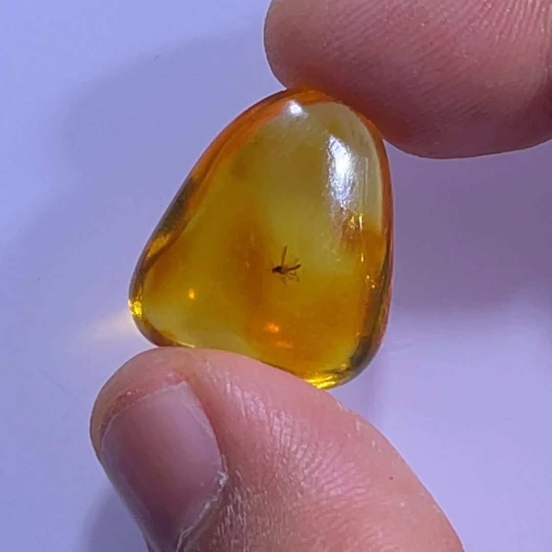 琥珀未镶嵌手链特价虫珀