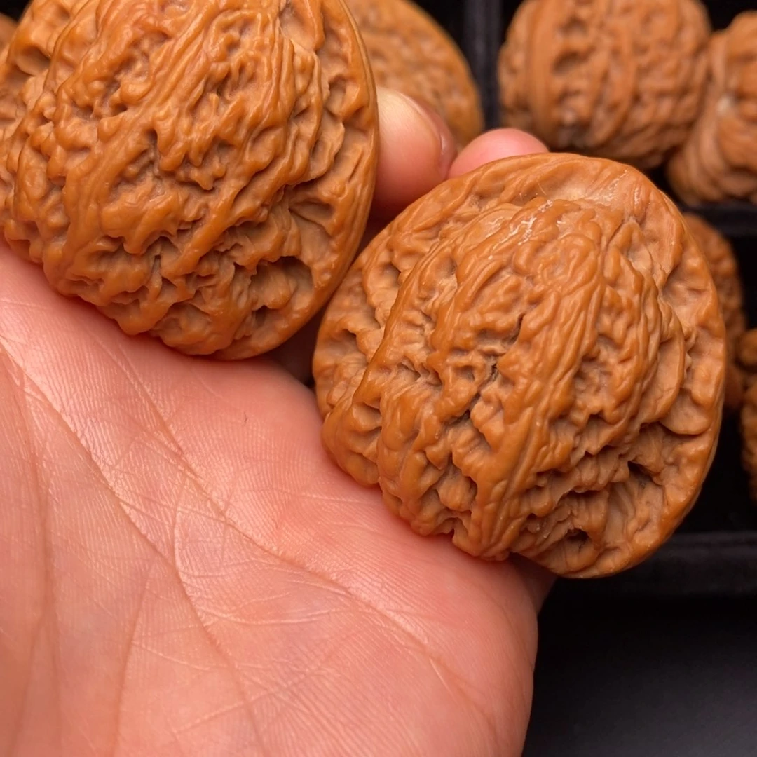把件文玩核桃秦岭野生植物资源