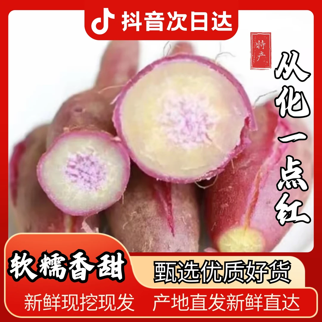 从化一点红番薯自种新鲜现挖莲蓉口感沙地番薯紫心冰淇淋产地直发5/8斤