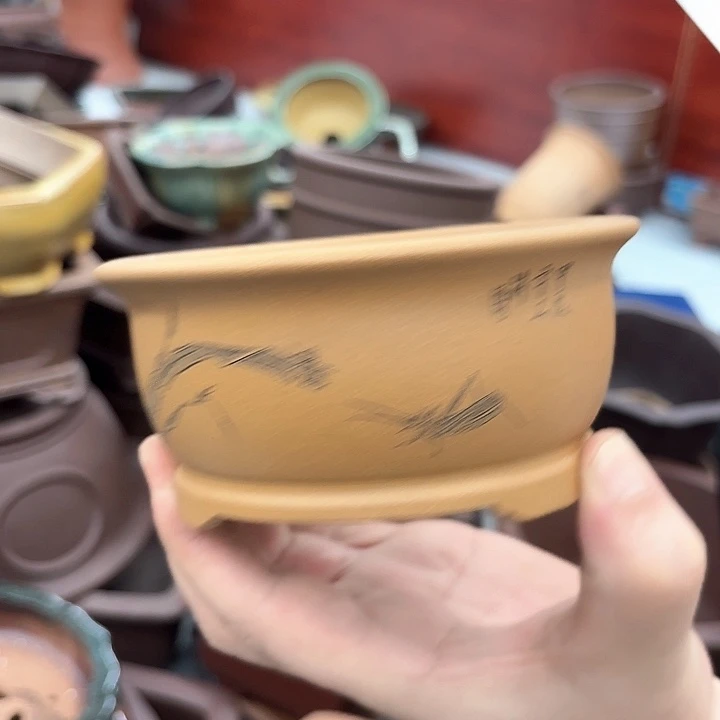 紫砂花盆紫砂的颜色很好看呀