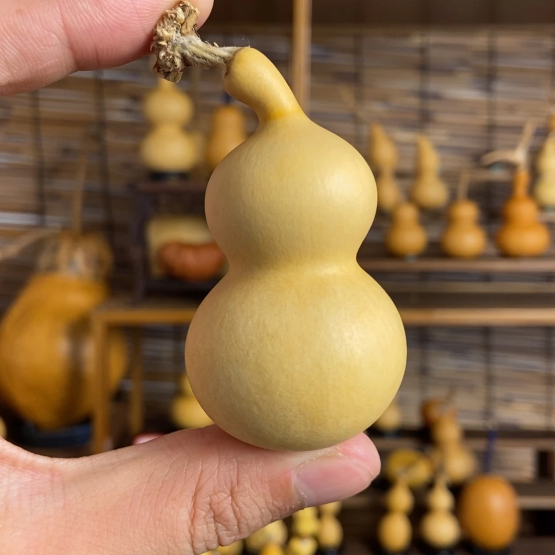 lllllllll一物一拍007