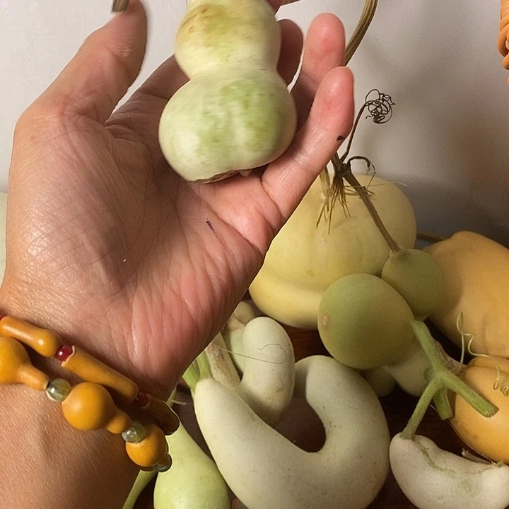 美***嗷青皮腰子葫芦手把件