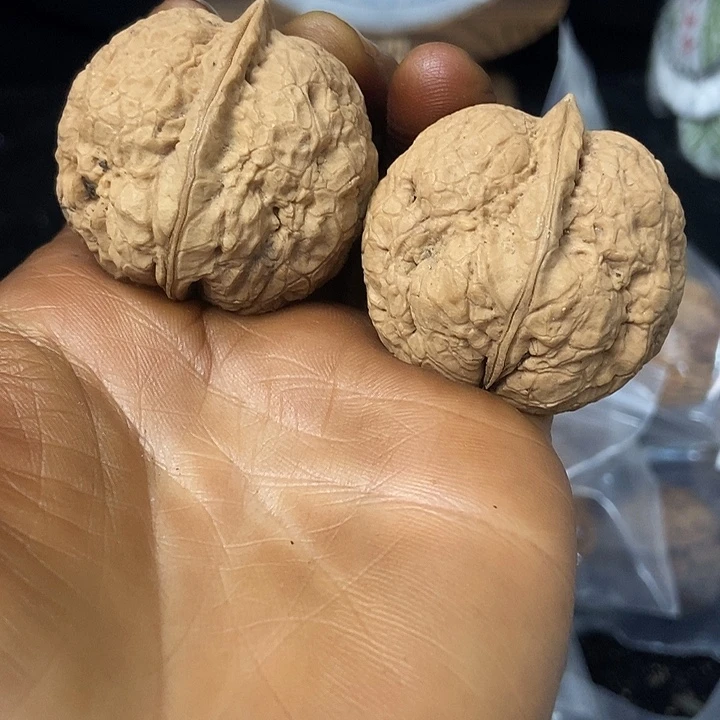 把件文玩核桃云南铁核桃基地67