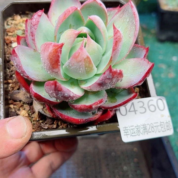 幸运的是我还没遇到