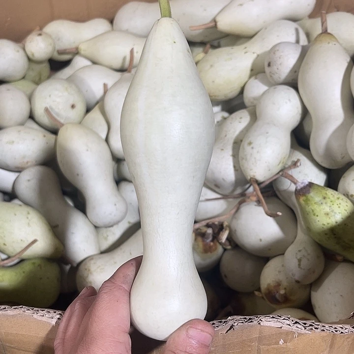 非洲紫檀（红花梨）砚*闲