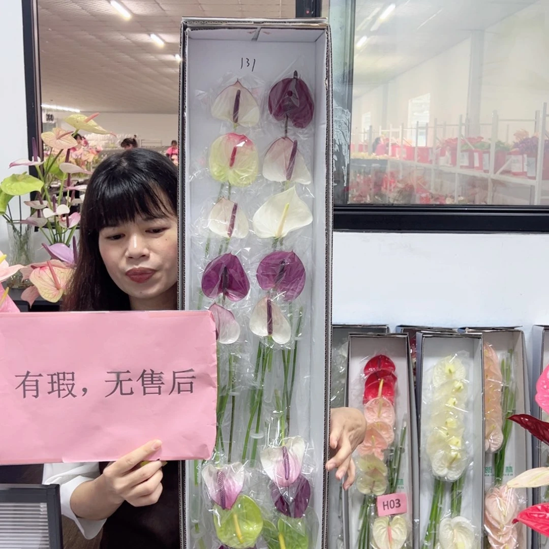 完全开放混色-20枝装无售后款131