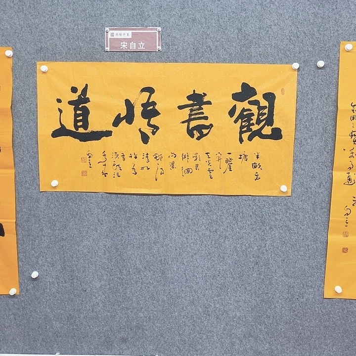 书法观书悟道作品