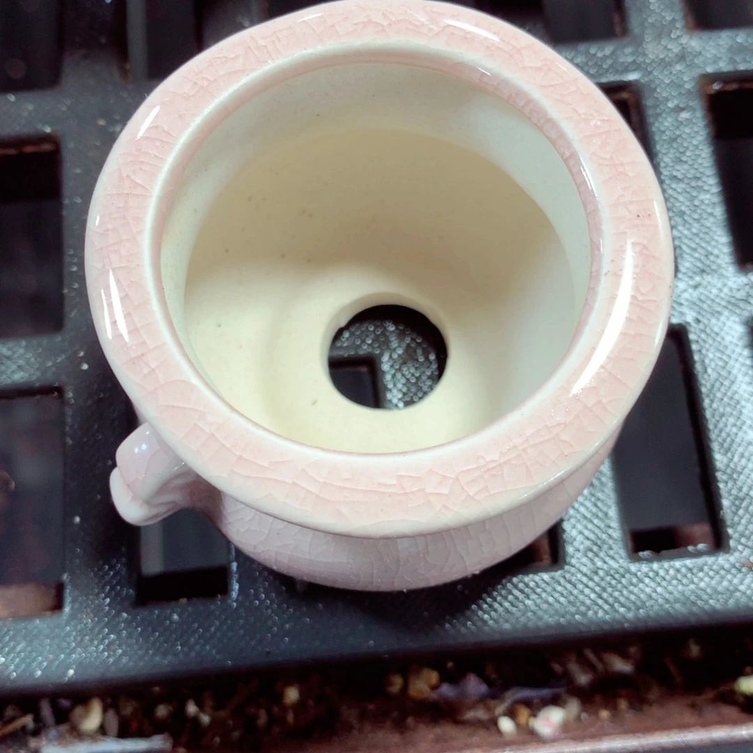 5厘米盆精控多肉陶瓷盆一个