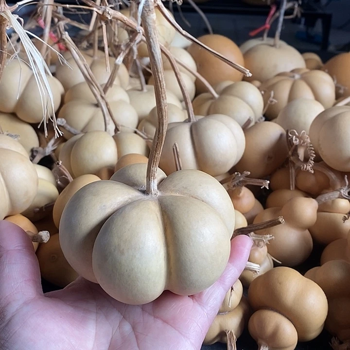 老*葫芦的颜色很好看