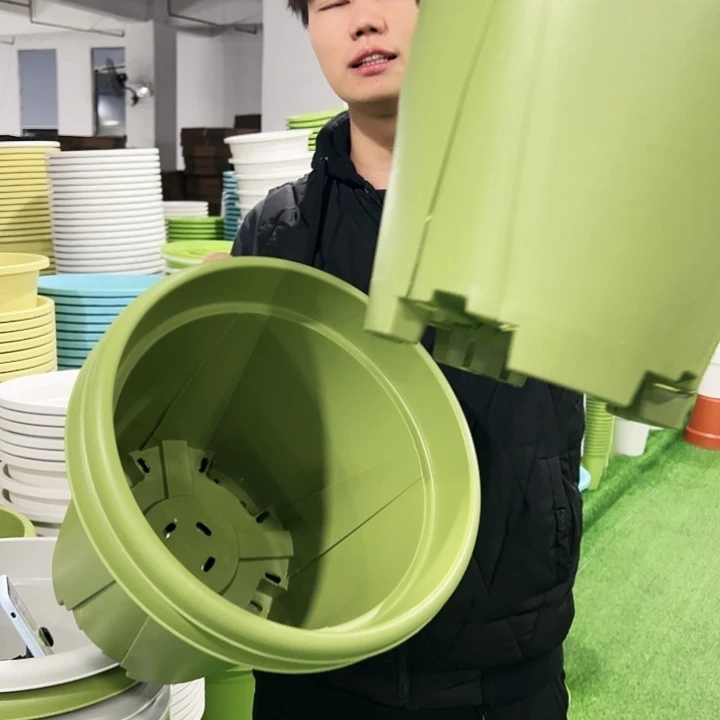 清仓青山口40高34果绿色3只无托