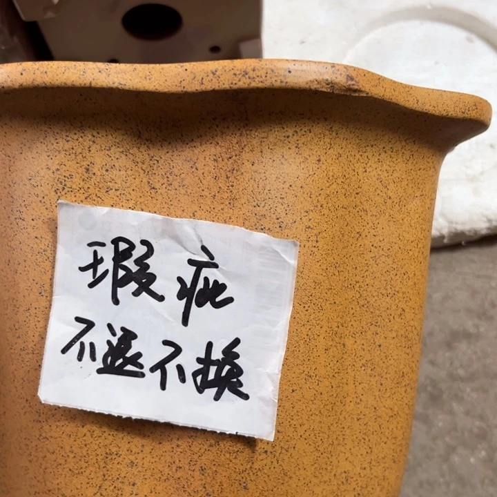 和***·花盆紫砂 微微瑕柴烧大莲花