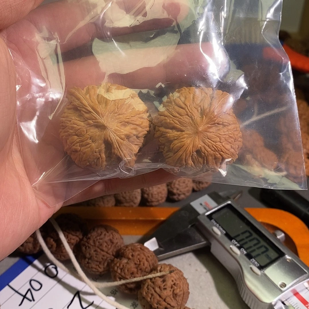 A***3金刚菩提吊坠000号金刚