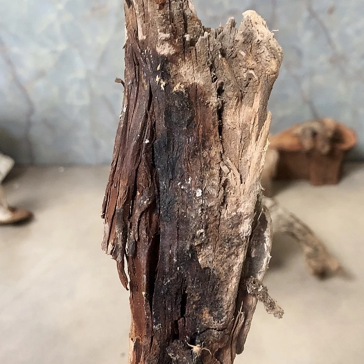 一***江大叶紫檀（黑酸枝木类）