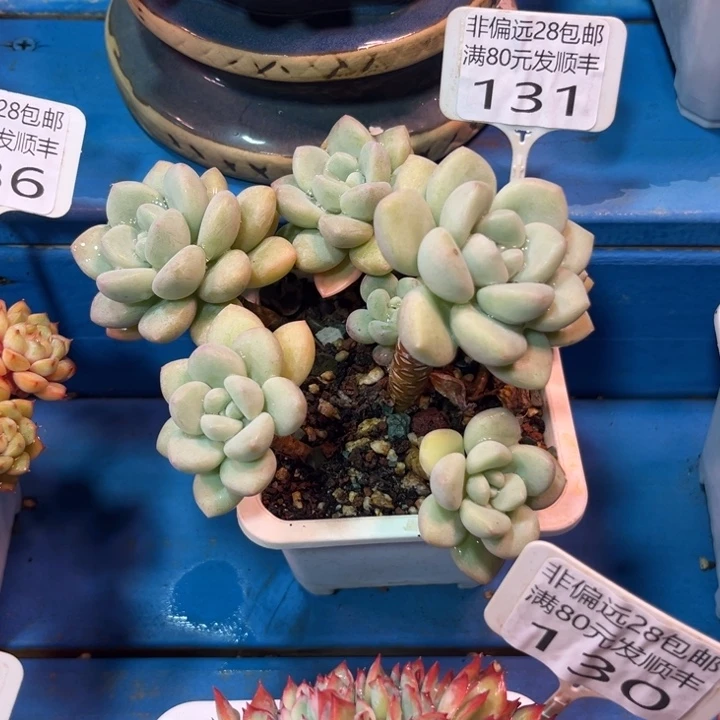 大131；dbxbchbhhdv