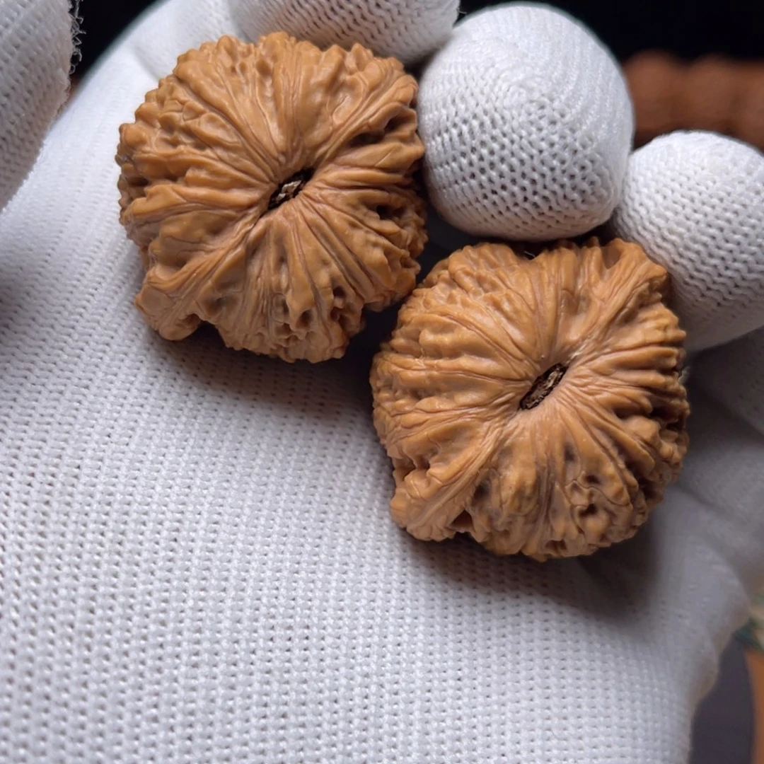 哞***哞金刚菩提手串绣球狮子头核桃35尺