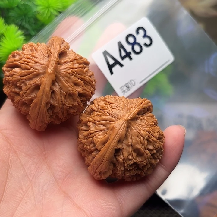 华***哥桃核把件核桃水44