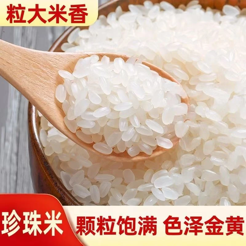 大米圆粒5kg粳米新米珍珠米甄选大米10斤装