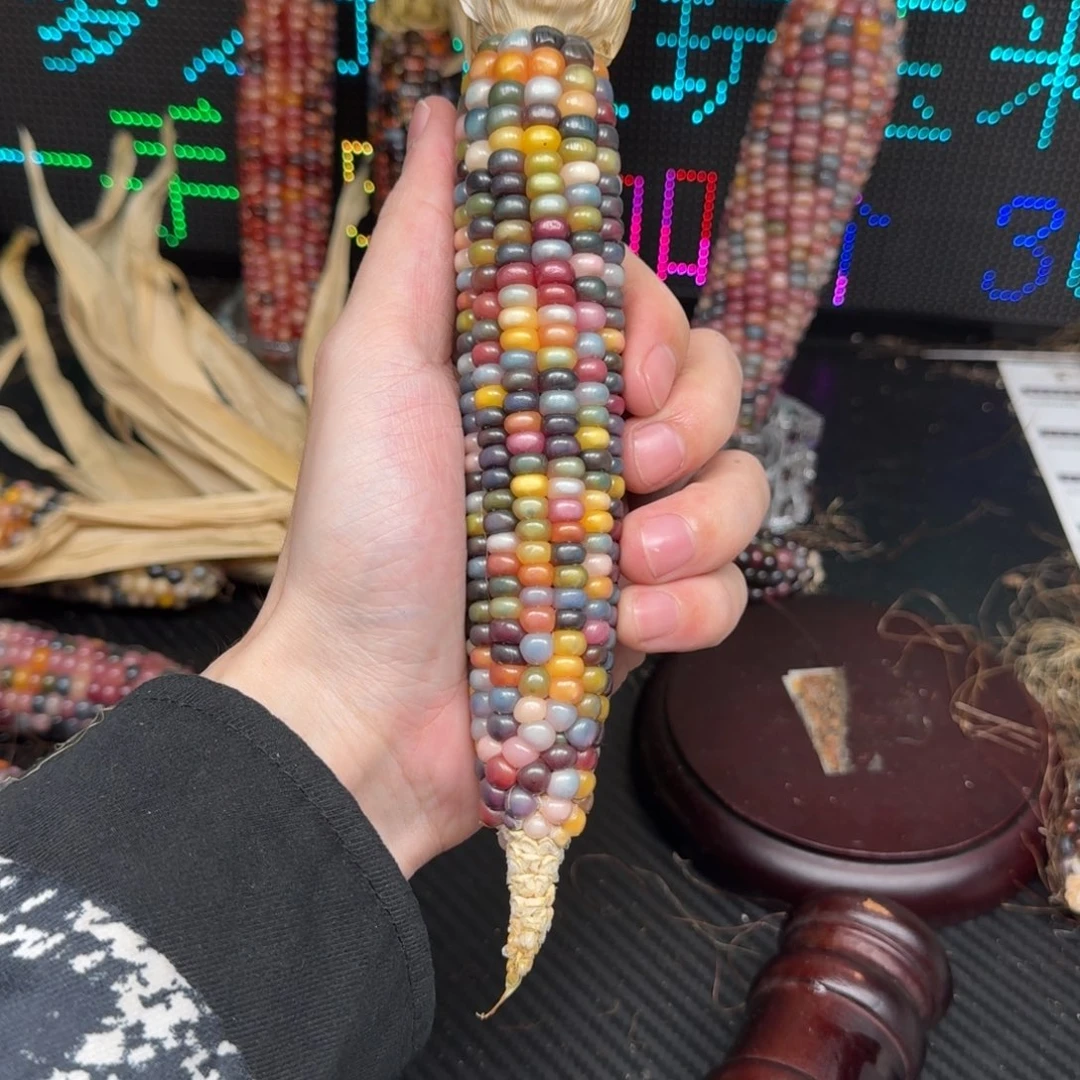 柏香籽/百香籽吊坠F****呆