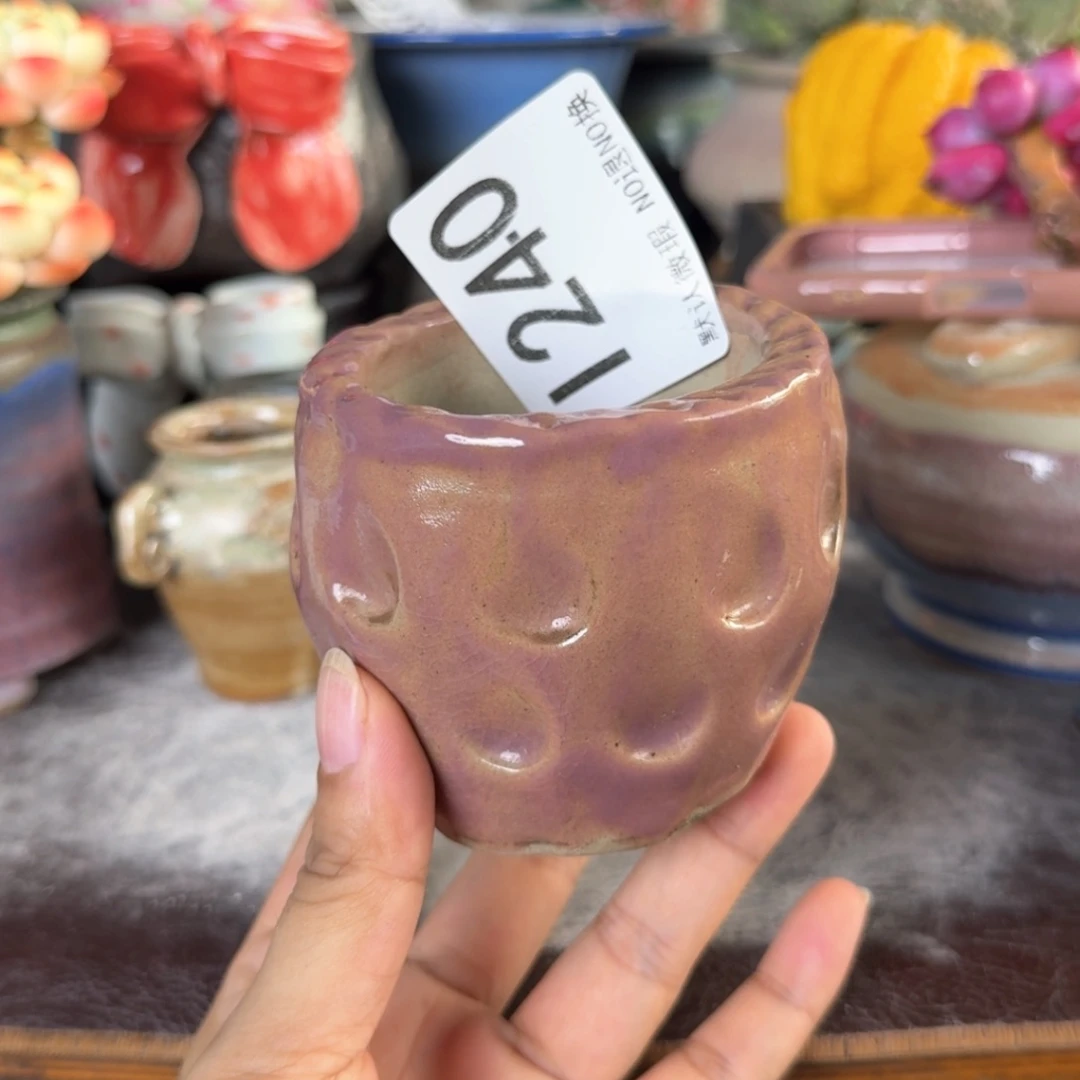 重庆小燕子欢迎大家240