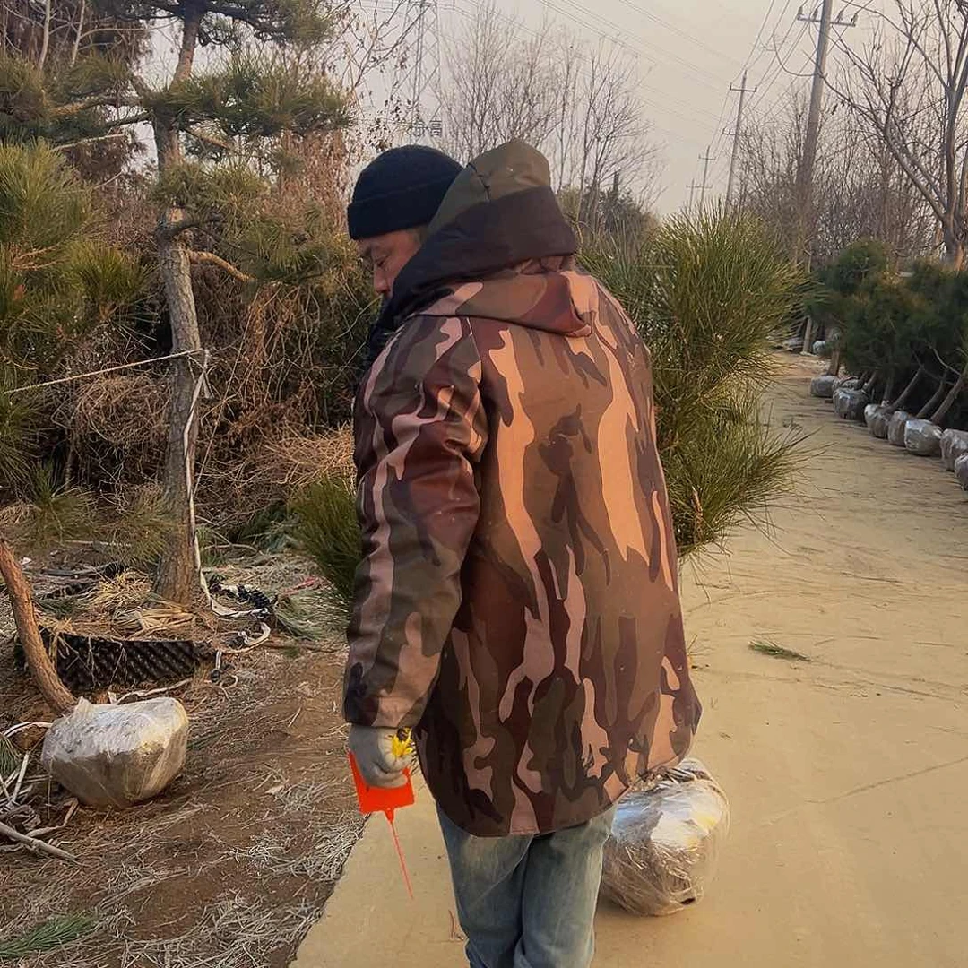 D**i88888888888888888