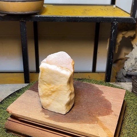 盆景绿植花盆绿植盆栽盆