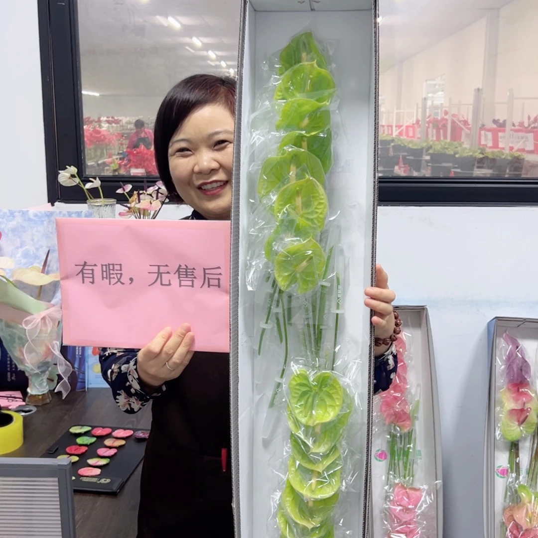完全开放绿掌-16枝装无售后款！