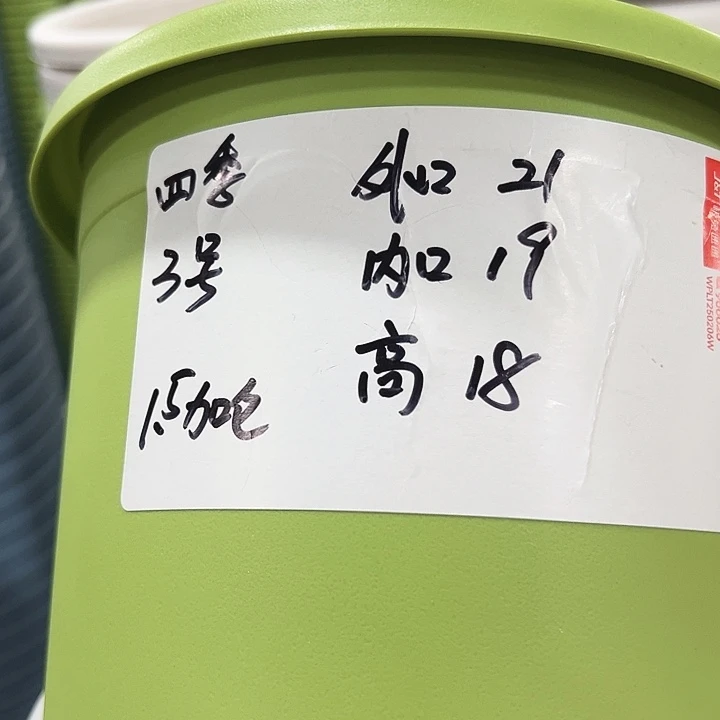 四季3号特价白色10个无托