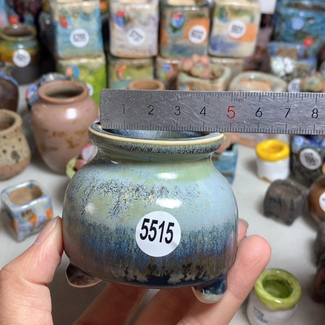 拍5送一个小礼物