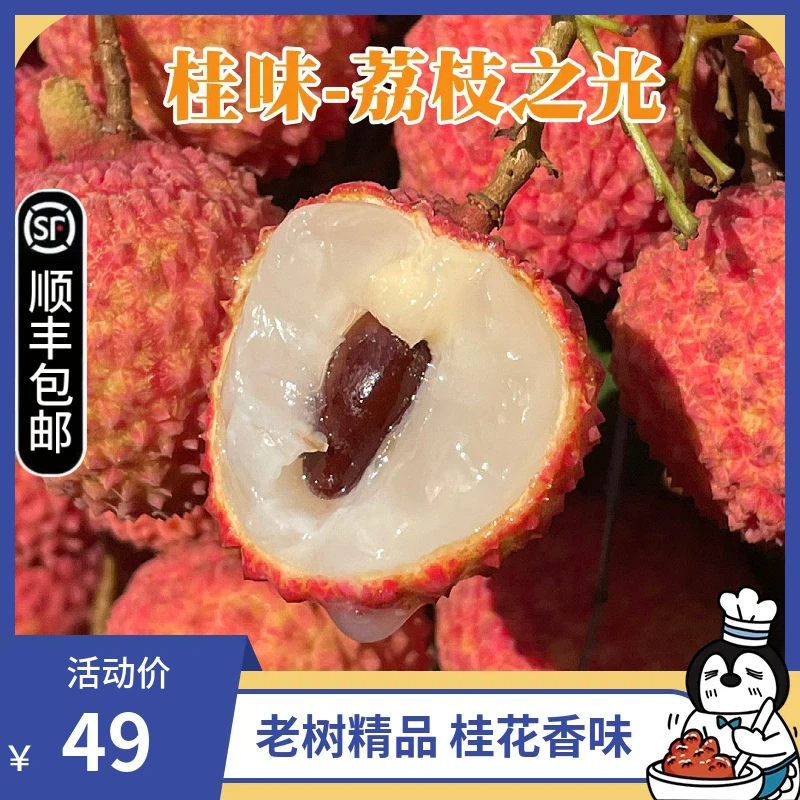 桂味荔枝精品粒果2.5斤4.5斤南京仓顺丰包邮