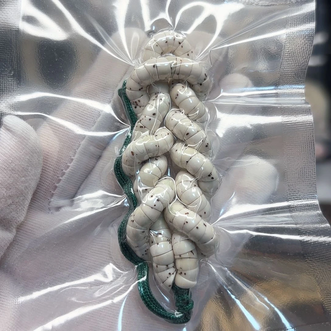 星月菩提吊坠原白大肠卡6星少