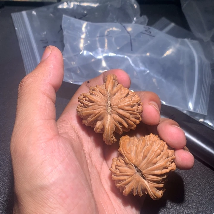 燕***鹰手串/手链核桃006