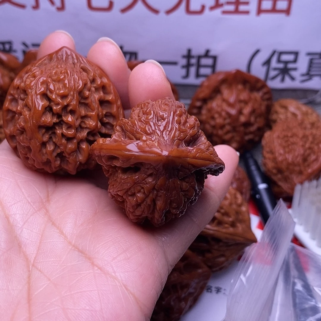 木质类满天星38。