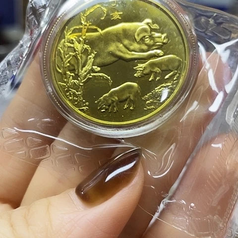 其他普通金属2007年猪年纪念章原封