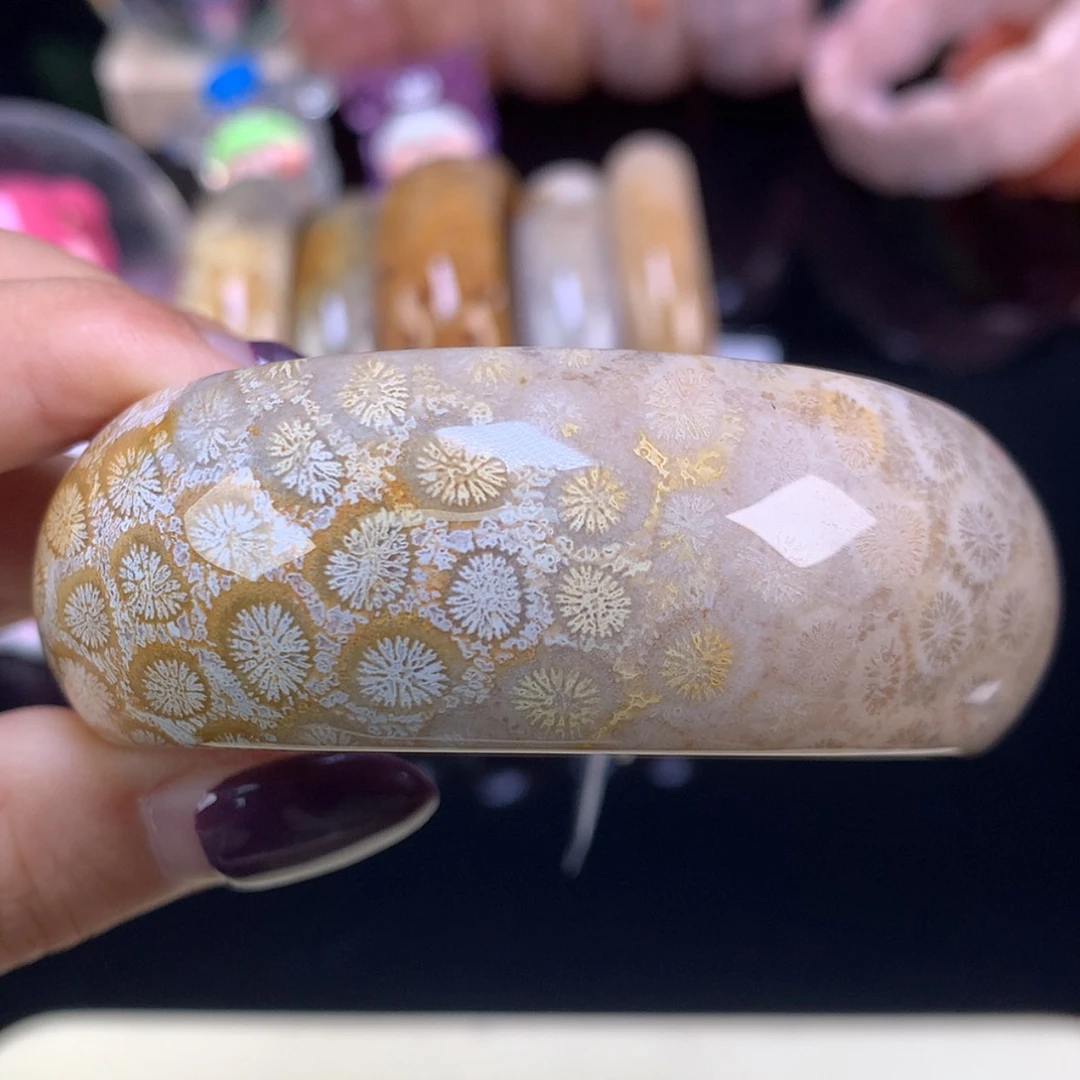 【闪购商品】颈饰未镶嵌硅化珊瑚（珊瑚玉）福利手镯55口（6号）