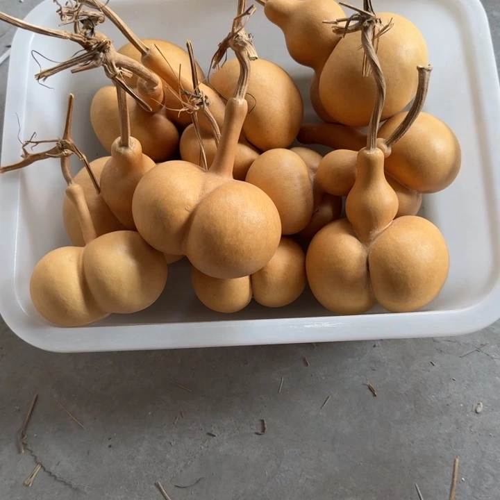 见***喜木10个15的屁股123