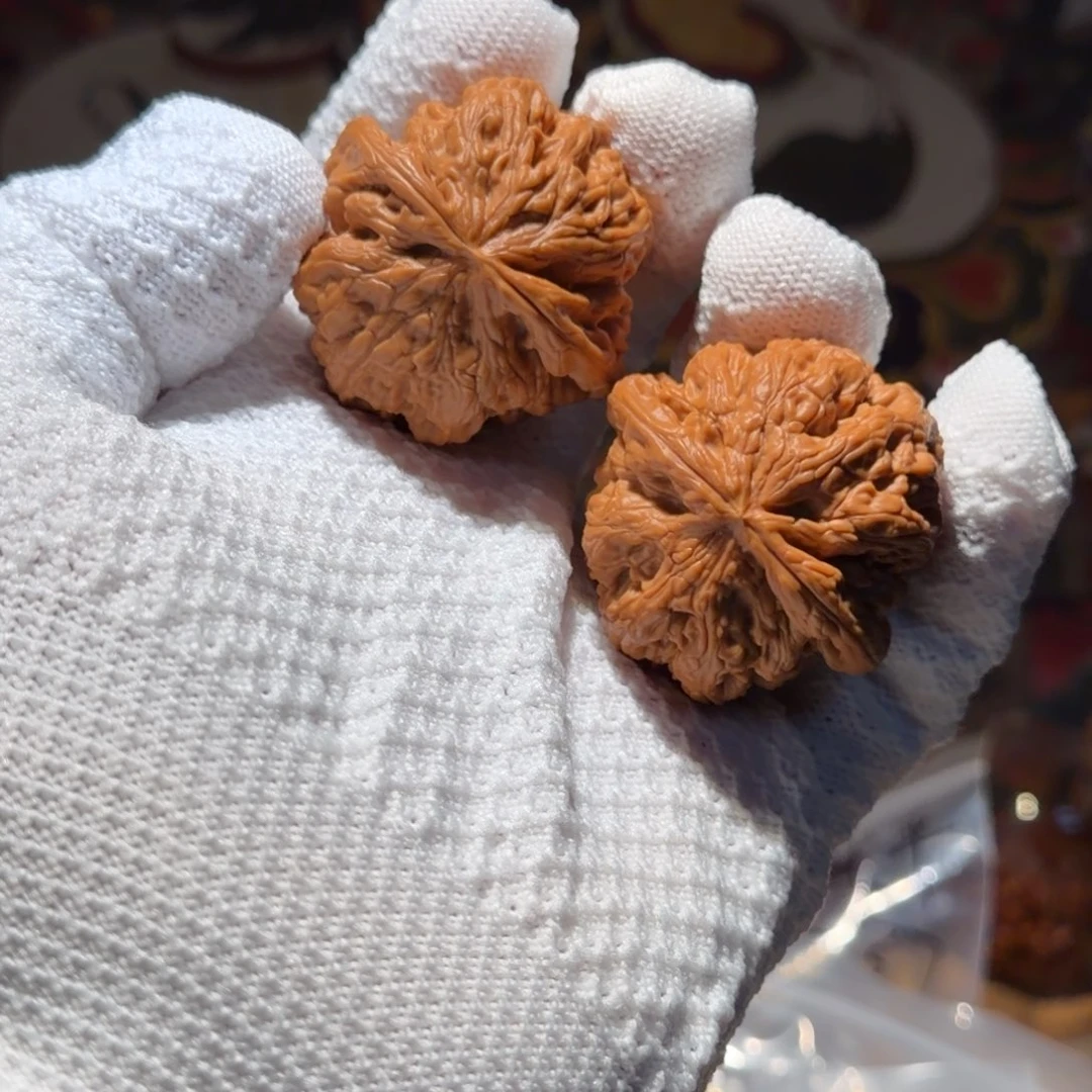 大粗筋精品货来吧铁铁们