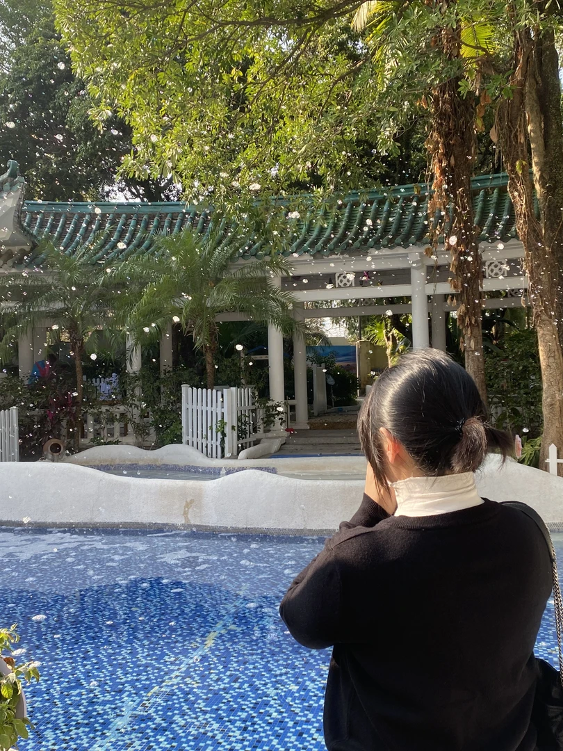 杂款休闲女装系列