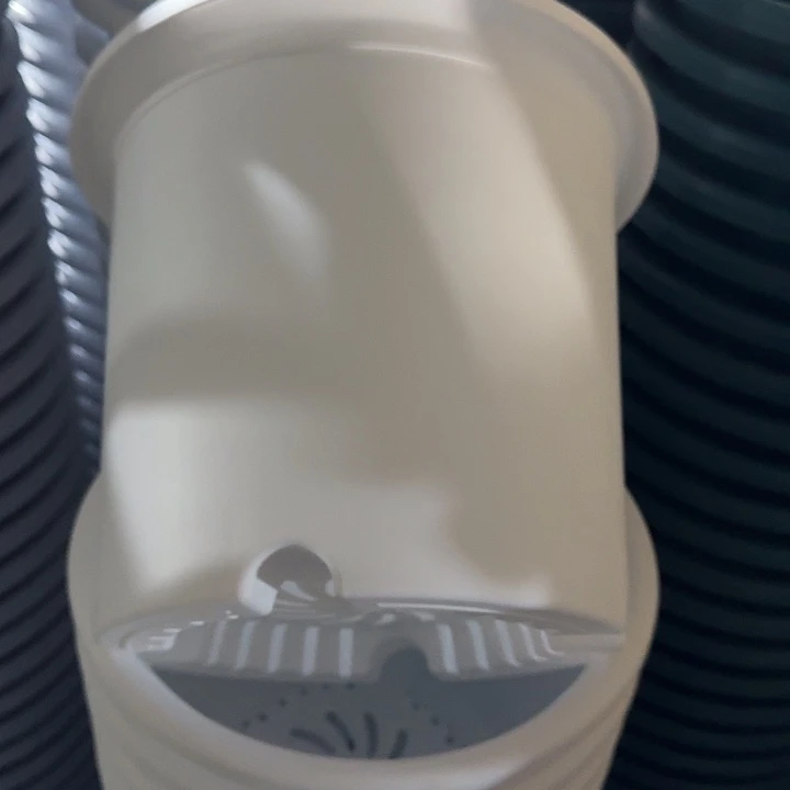 四季6号纯白无托7个特价