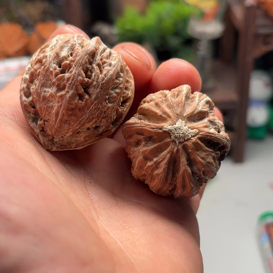 把件文玩核桃小蛙蛙162