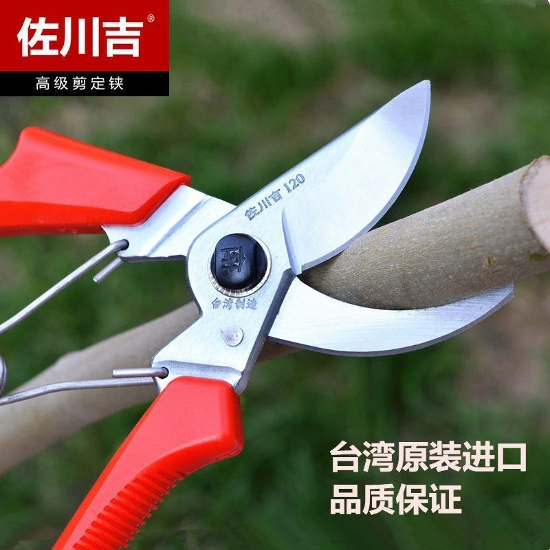 佐川吉120园艺剪刀修枝剪果树剪树枝剪刀花艺修花大剪子不锈钢