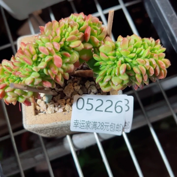幸运的是我还没遇到