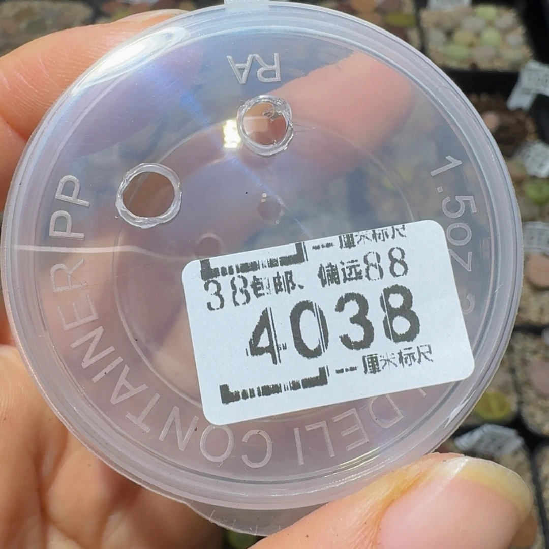 *****板娘私藏好货保温箱保温