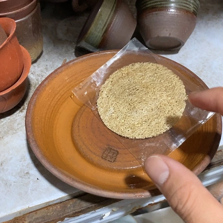 瓷片他家都没有人可以去的