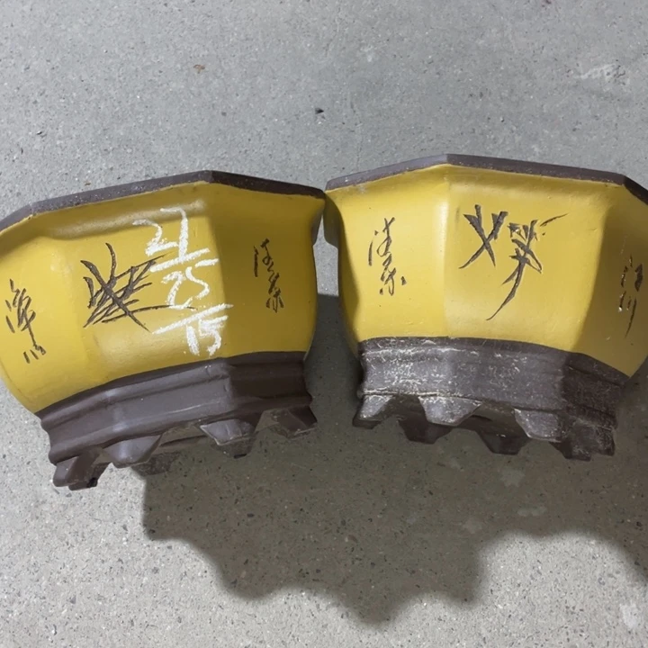 试试再说再说再说再说