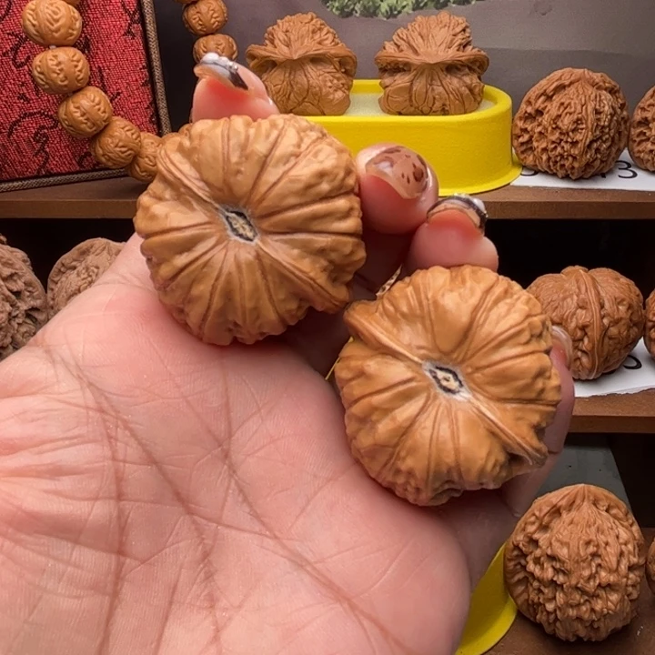 核桃南瓜39全品5008