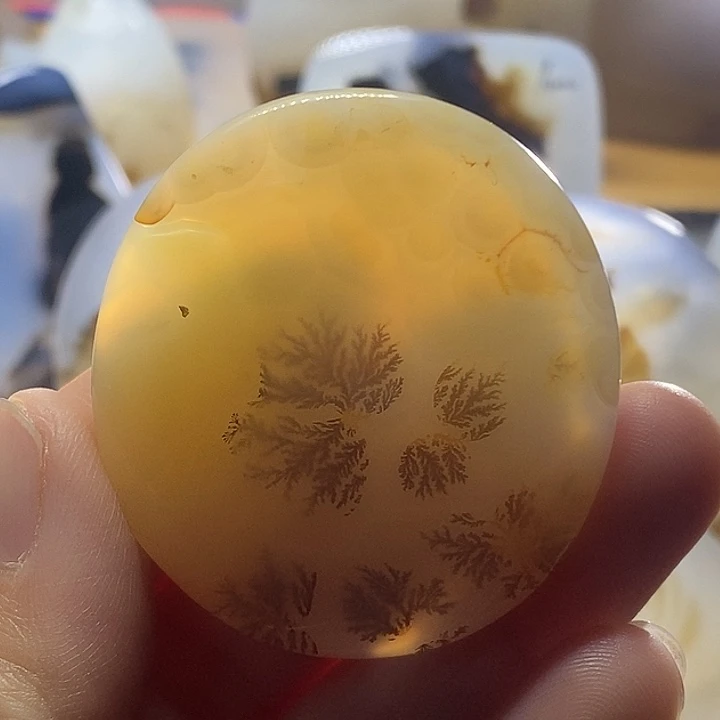 未镶嵌颈饰玛瑙/玉髓啊*