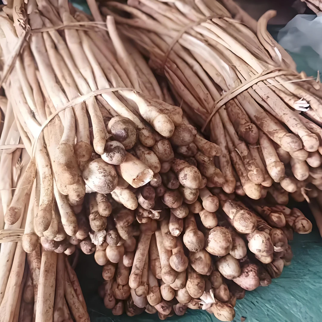 云南野生菌-土堆鸡枞菌