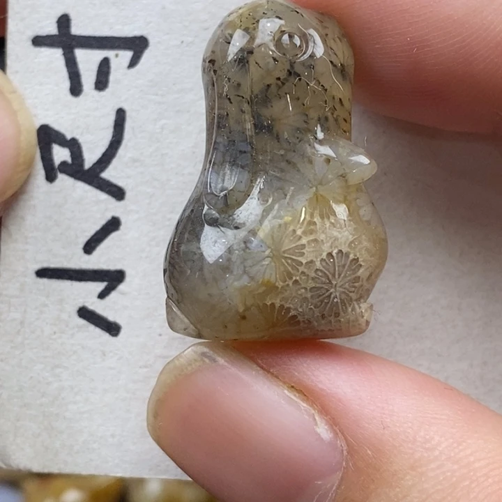 硅化珊瑚（珊瑚玉）未镶嵌颈饰