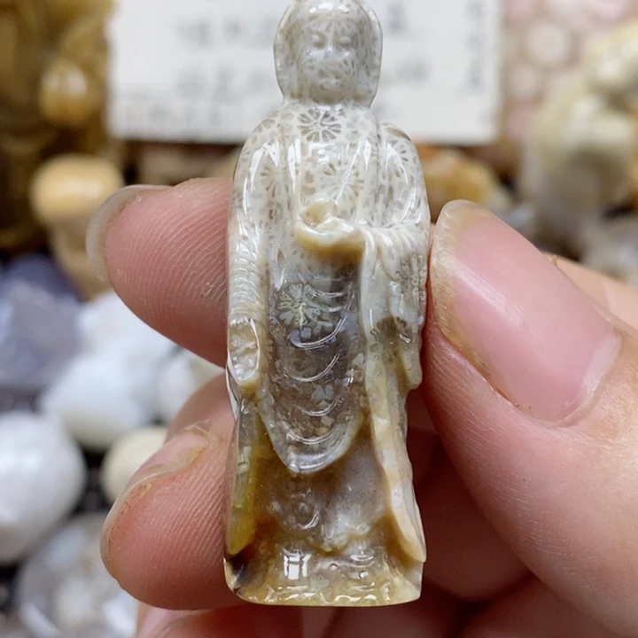 颈饰未镶嵌硅化珊瑚（珊瑚玉）小