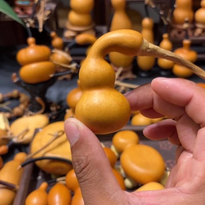 安****葫芦11111111111111111